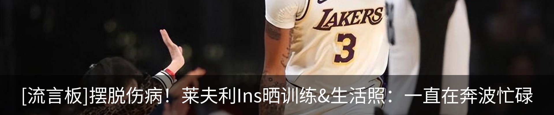 新闻动态